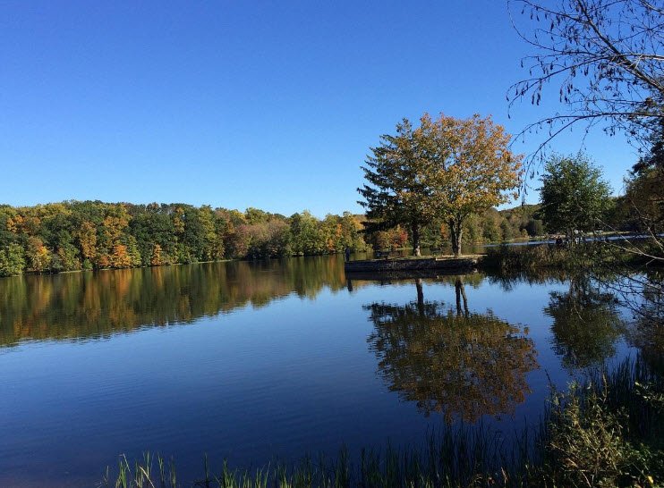 Gifford Pinchot State Park, Pennsylvania, USA